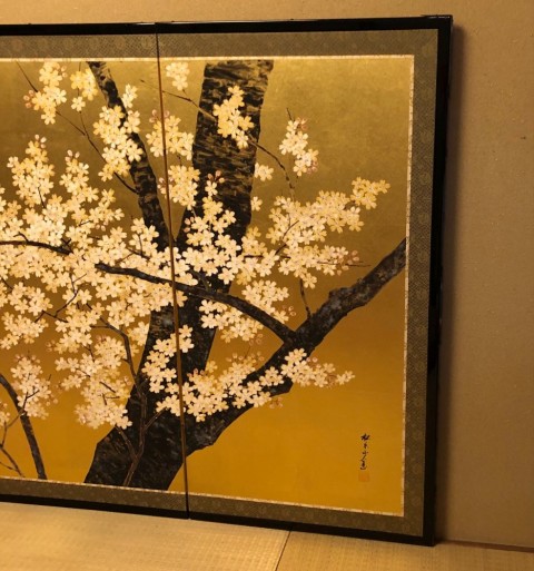 Cherry Blossoms