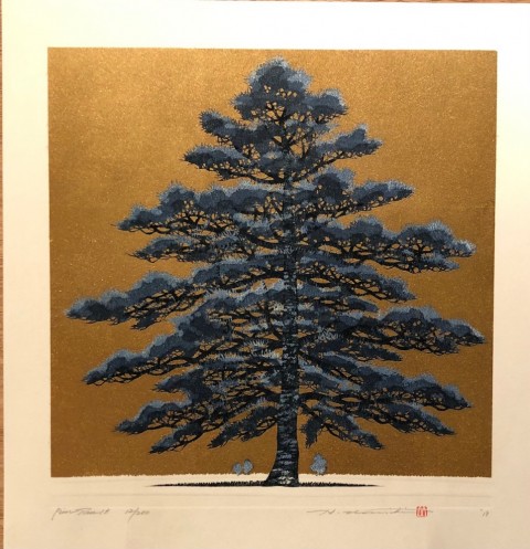 Pine  Tree-1A