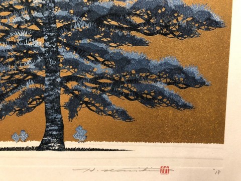 Pine  Tree-1A