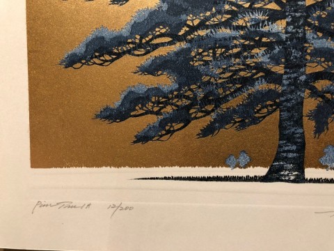 Pine  Tree-1A