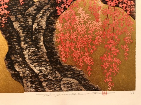 Weeping Cherry-15