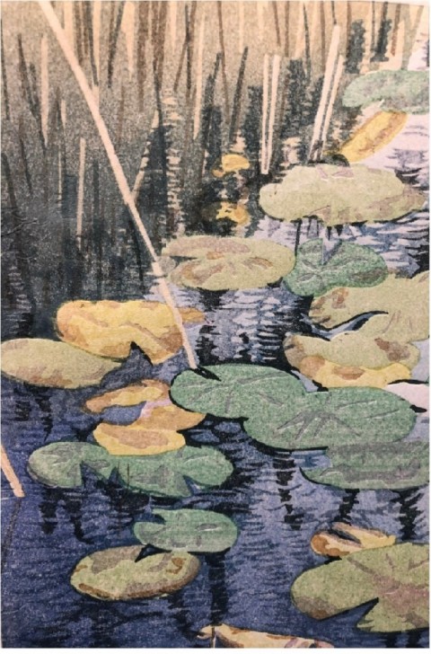 Winter pond