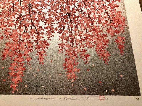 枝垂れ桜 27