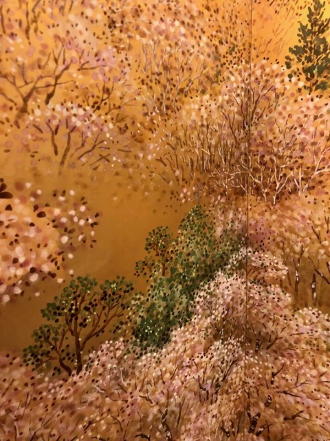 Mountain cherry blossom landscape 