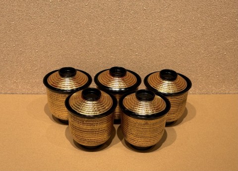 Shouju bow  5piece sets