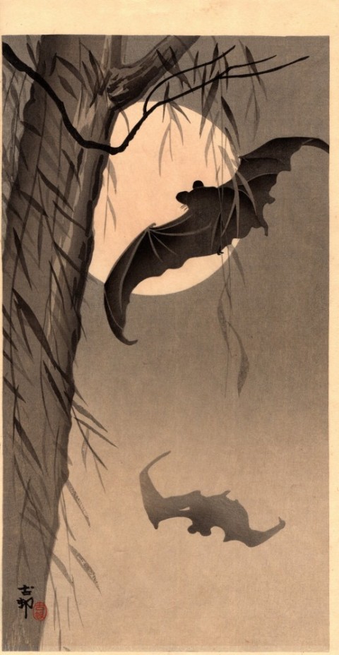 Bats under the full moon