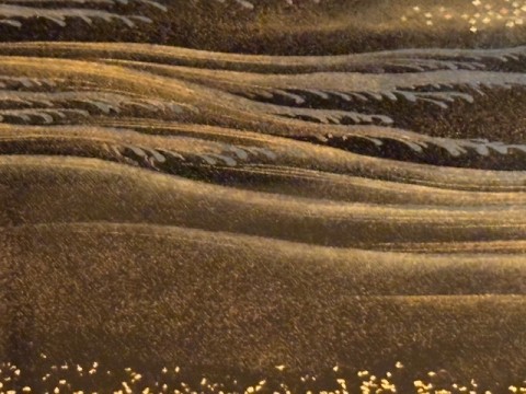 Makie Hirobuta: Pine Grove and White Waves