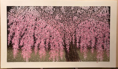 Weeping Cherry-30
