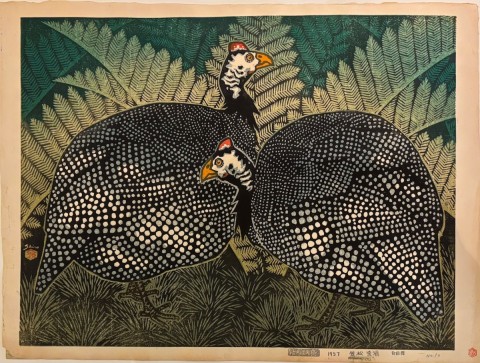 Guinea Fowl