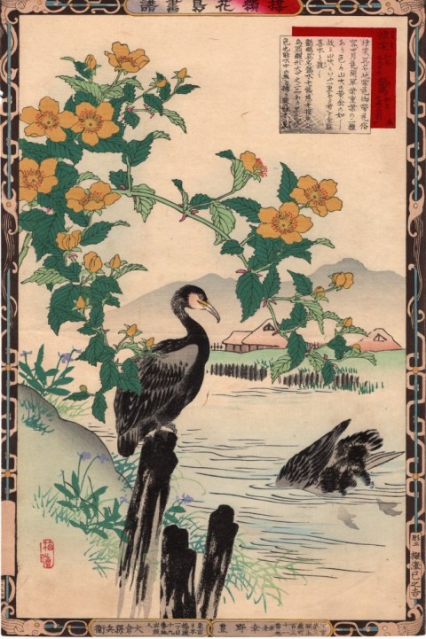 Bairei Kacho Paintings