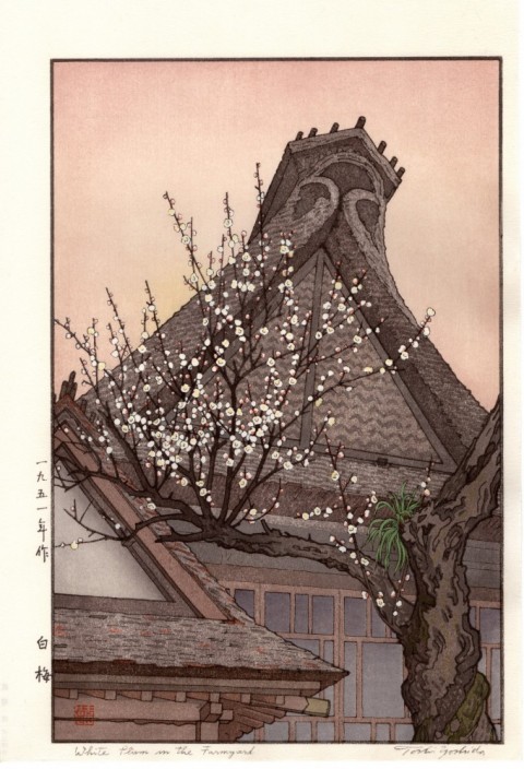 White Plum