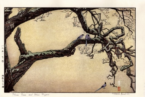 Plum Tree and Blue Magpie