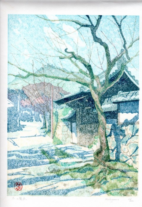 Winter sunlight