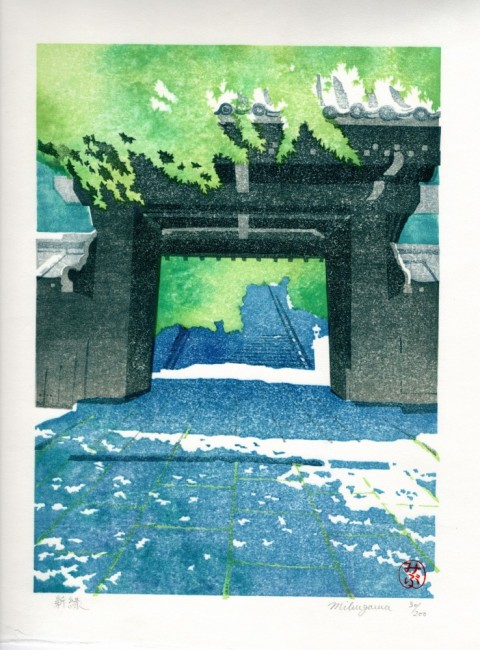 Fresh green leaves