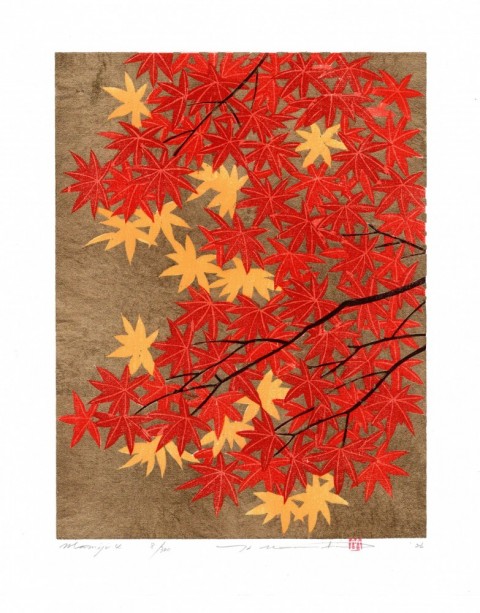 Japanese maple-4