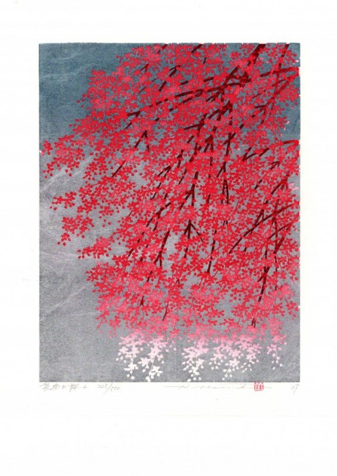 Weeping Cherry-6