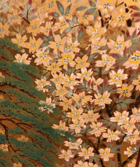 Cherry blossoms at night