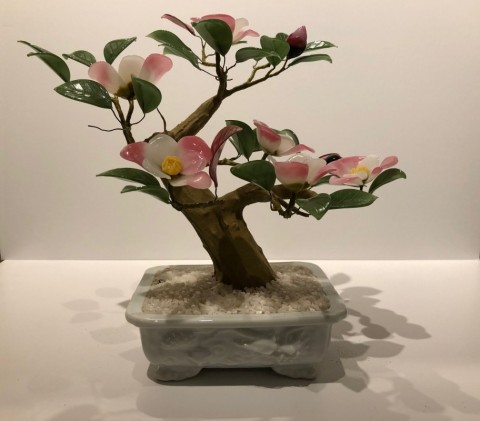 Glass Bonsai  camellia, Okino－Nami with white square pot