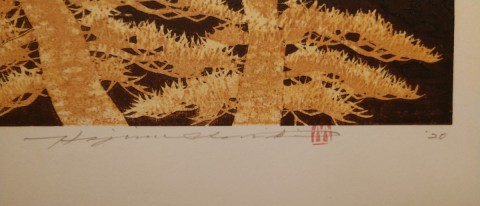 Fuji-17