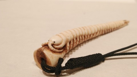Netsuke centipede Made of deer antler