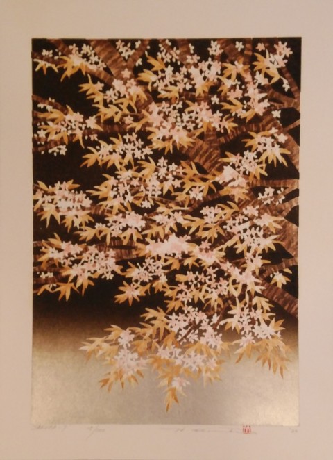 SAKURA-7