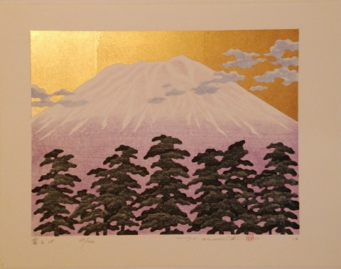 Fuji 15