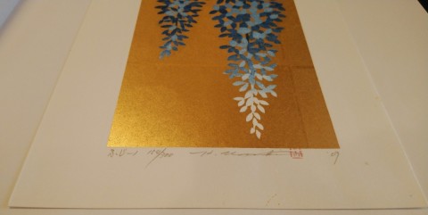 Fuji-1