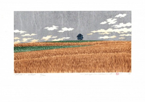 Hill-1 Wheat