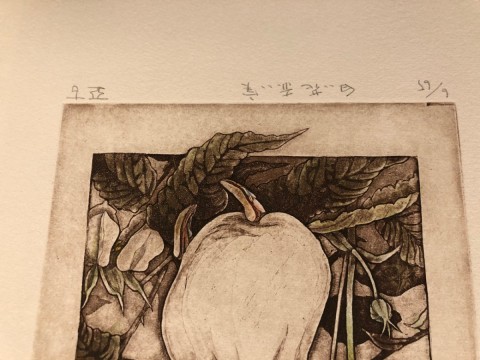 White flower, Red fruit